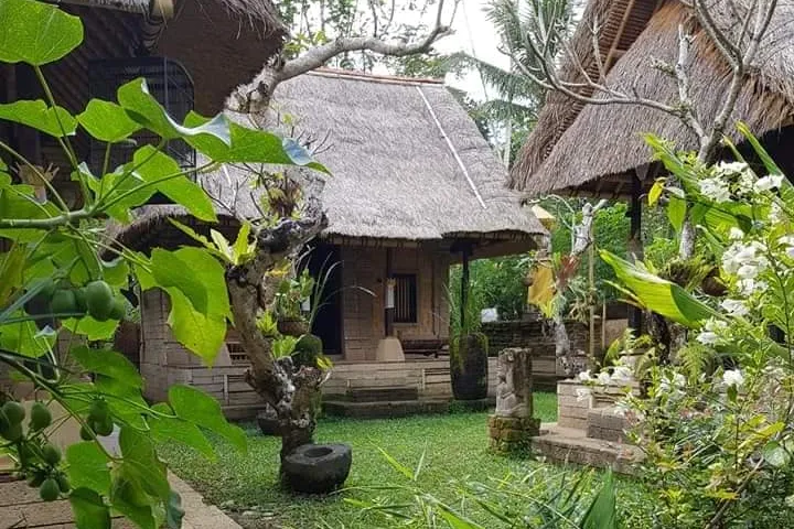 Shaman Healing with Old House