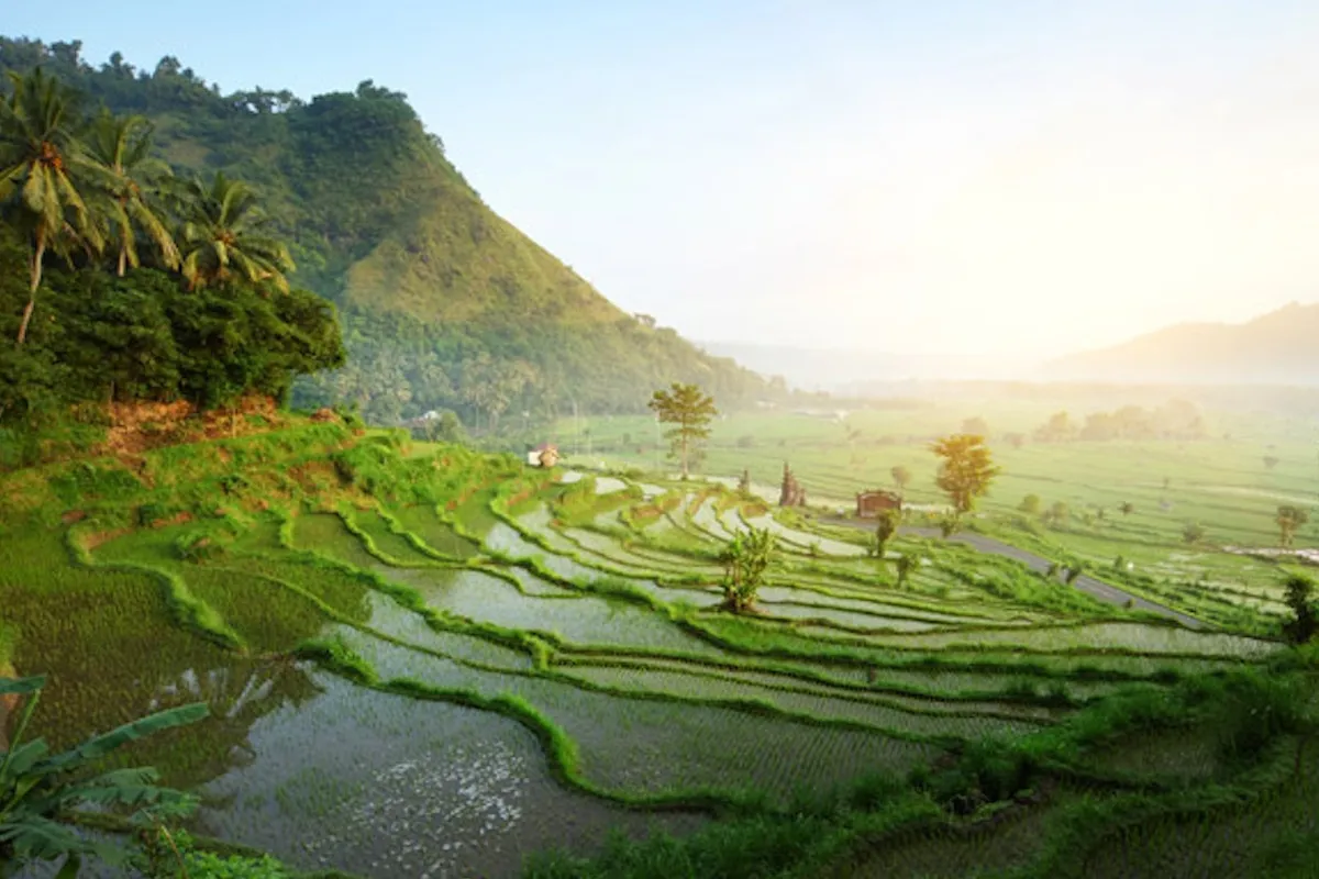 Balinese Shaman Healing with UNESCO Rice Terrace