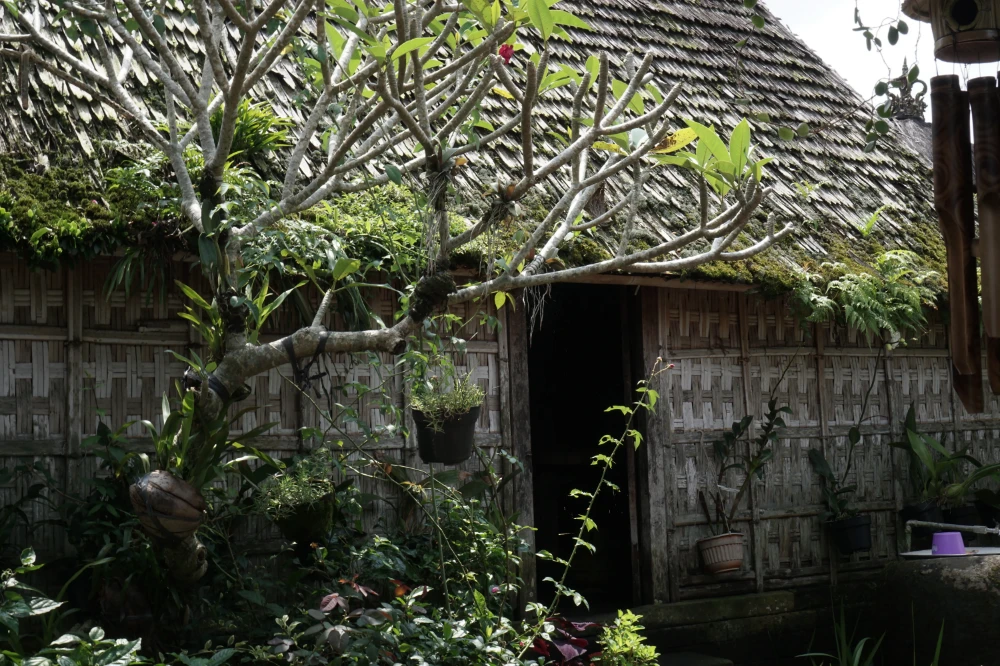 Penglipuran Traditional Village